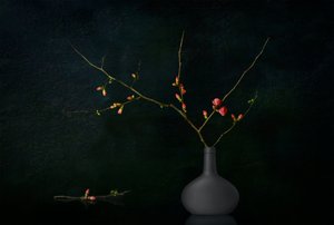 Mørke, blomstrende grene af Juan Antonio Palacios
