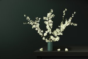 Friske forårsblomster af Juan Antonio Palacios