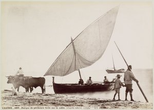 Ossen trekker vissersboot het strand op i Valencia VALENCE.- Fiskerbåd tegnet på sandet. (fra naturen) (titel på objekt)