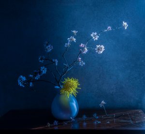 af Judy Tseng
