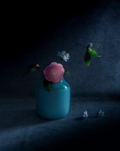  af Judy Tseng