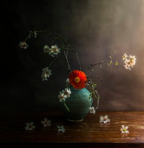  af Judy Tseng
