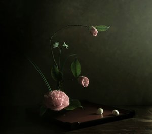  af Judy Tseng