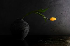  af Judy Tseng