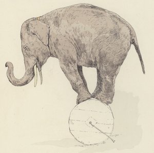 Elefant balancerer