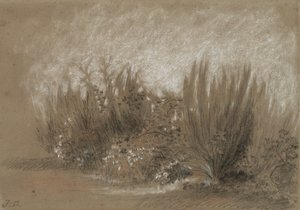 Genets et Ronces (Bom and Brambles) af Jules Dupré