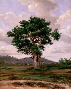 The Rager (hjertet)
