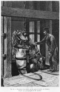 Hest bliver trukket ned af kulgraven ved Le Creusot, illustration fra 