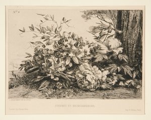 Pæoner og Rhododendron af Jules Ferdinand Jacquemart