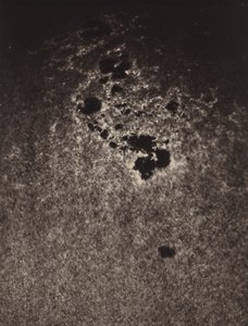 Uden titel (Studie af solens overflade),1893 (foto) af Jules Janssen