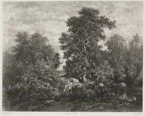 Dammen efter Théodore Rousseau (1812-67)