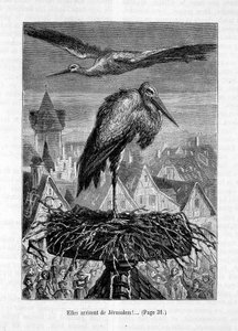 Storke på et tag- i "" Vennen Fritz"", af Erckmann-Chatrian, ill. af Théophile Schuler