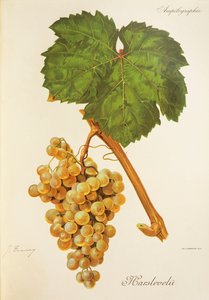 Harslevelu drue af J. Troncy af Jules Troncy
