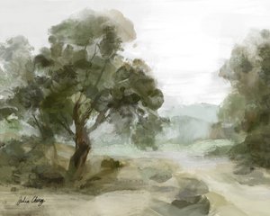 Stien gennem Misty Valley