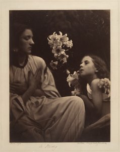  af Julia Margaret Cameron