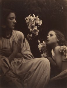 En undersøgelse, 1865-66. af Julia Margaret Cameron