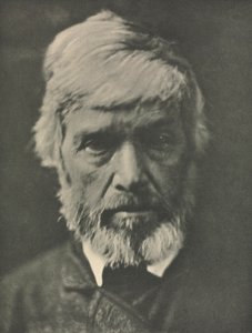 Kameraarbejde: Carlyle af Julia Margaret Cameron