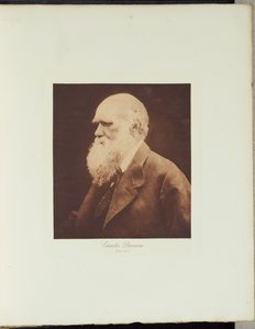  af Julia Margaret Cameron