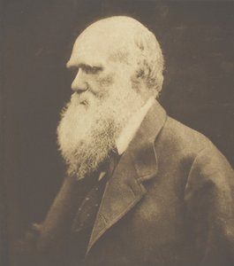 Charles Darwin, 1868, trykt ca. 1893. af Julia Margaret Cameron
