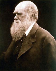 Charles Darwin, britisk naturforsker, c1870