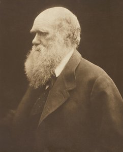 Charles Darwin, ca. 1868, trykt 1875. af Julia Margaret Cameron