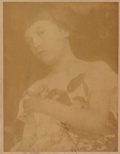 Firenze af Julia Margaret Cameron