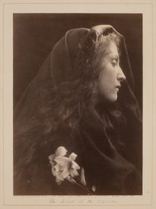  af Julia Margaret Cameron