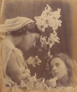 Nattverden af Julia Margaret Cameron