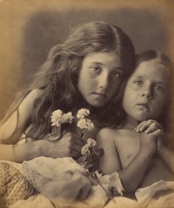 De røde og hvide roser af Julia Margaret Cameron