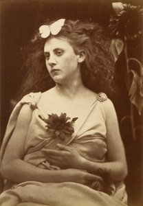 Solsikken af Julia Margaret Cameron
