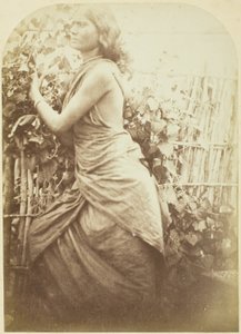 Kvinde, Ceylon af Julia Margaret Cameron