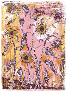 son sine sole iris, 2016 (serigrafi) af julia McKenzie