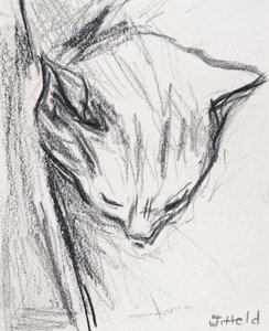 Sovende kat, 2015, (blyant) af Julie Held