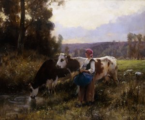 Køer ved Vandingshullet