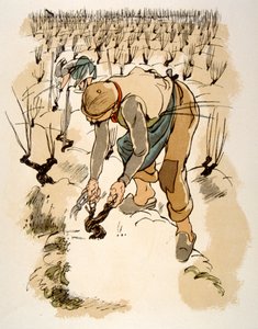 Humoristisk vinillustration 1946.Illustration af Julien Pavil af Julien Pavil