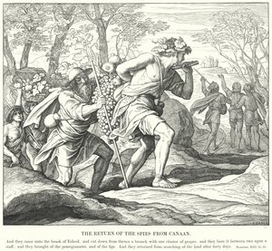 Spionernes tilbagevenden fra Kanaan (gravering) af Julius (after) Schnorr von Carolsfeld