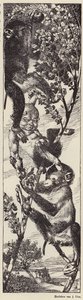 Aber, der plukker frugt i et træ (litografi) af Julius Diez