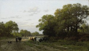 Landskab i Drenthe