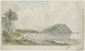Tropisk kystlandskab