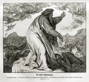 Skabelsens femte dag, 1. Mosebog af Julius Schnorr von Carolsfeld