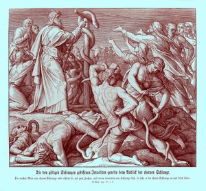 Moses og slangen af messing, 4. Mosebog af Julius Schnorr von Carolsfeld