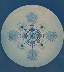 [Kalselalgerfrustler], ca. 1870. af Julius Wiesner.