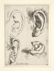 Studier af fire ører af Jusepe de Ribera
