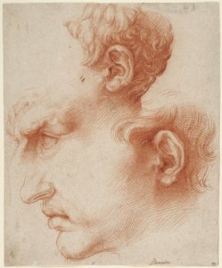 Studien eines männlichen Kopfes im Profil af Jusepe de Ribera