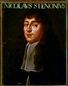 Portræt af Nicolas Steno (olie)
