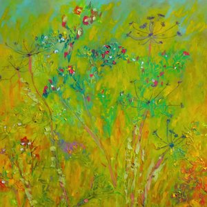 Farverig mark med vilde blomster