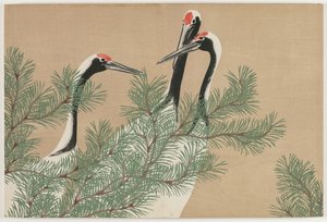 Flowers of a Hundred Worlds (Momoyogusa): Traner (Tsuru)