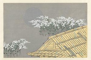 Hvide blomster derhjemme Unohana Flowers of a Hundred Worlds (serietitel) Momoyogusa, bind. 1 (serietitel) af Kamisaka Sekka