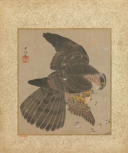 Album of Hawks and Calligraphy, 17.-18. århundrede.
