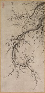 Prunus, 1600-tallet. af Kano Ein